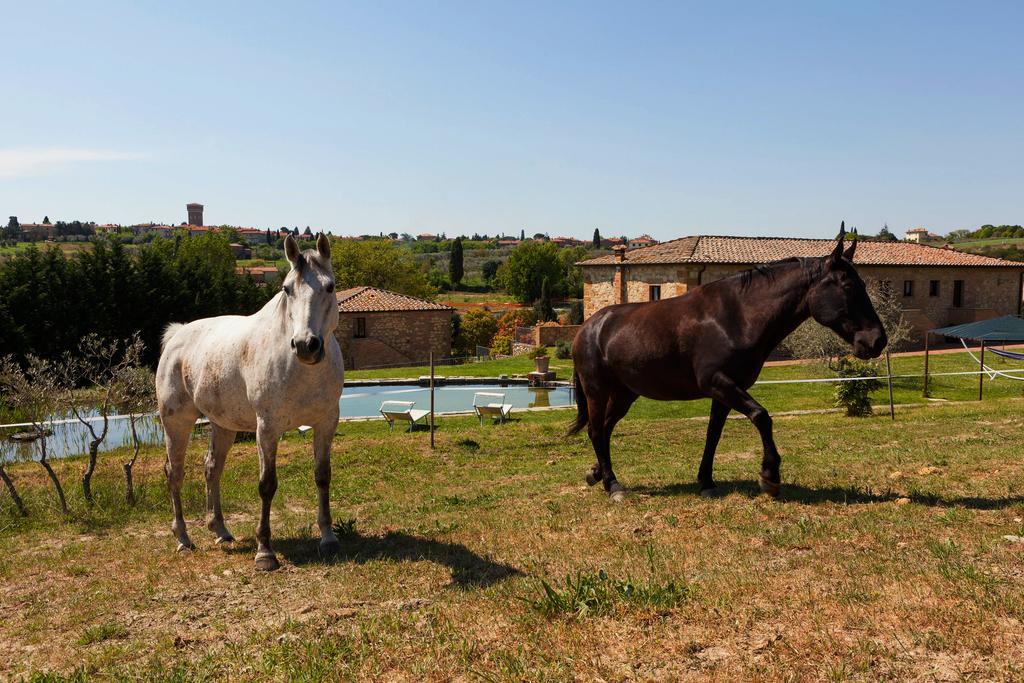 Agriturismo La Collina П'єнца Екстер'єр фото